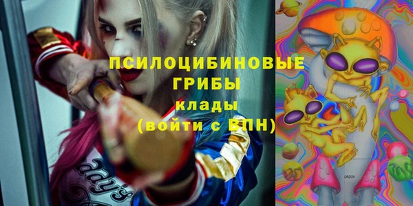 соль ск Алексин