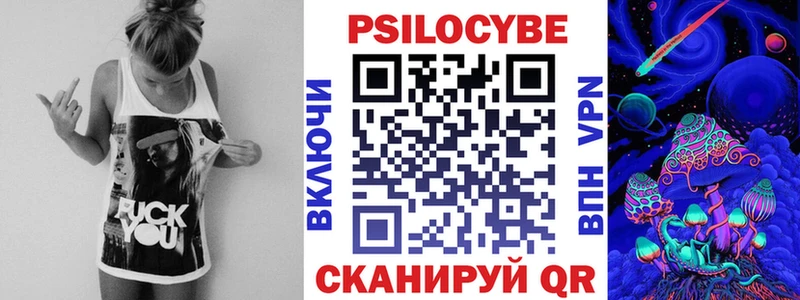 купить  сайты  Шумерля  Галлюциногенные грибы Cubensis 